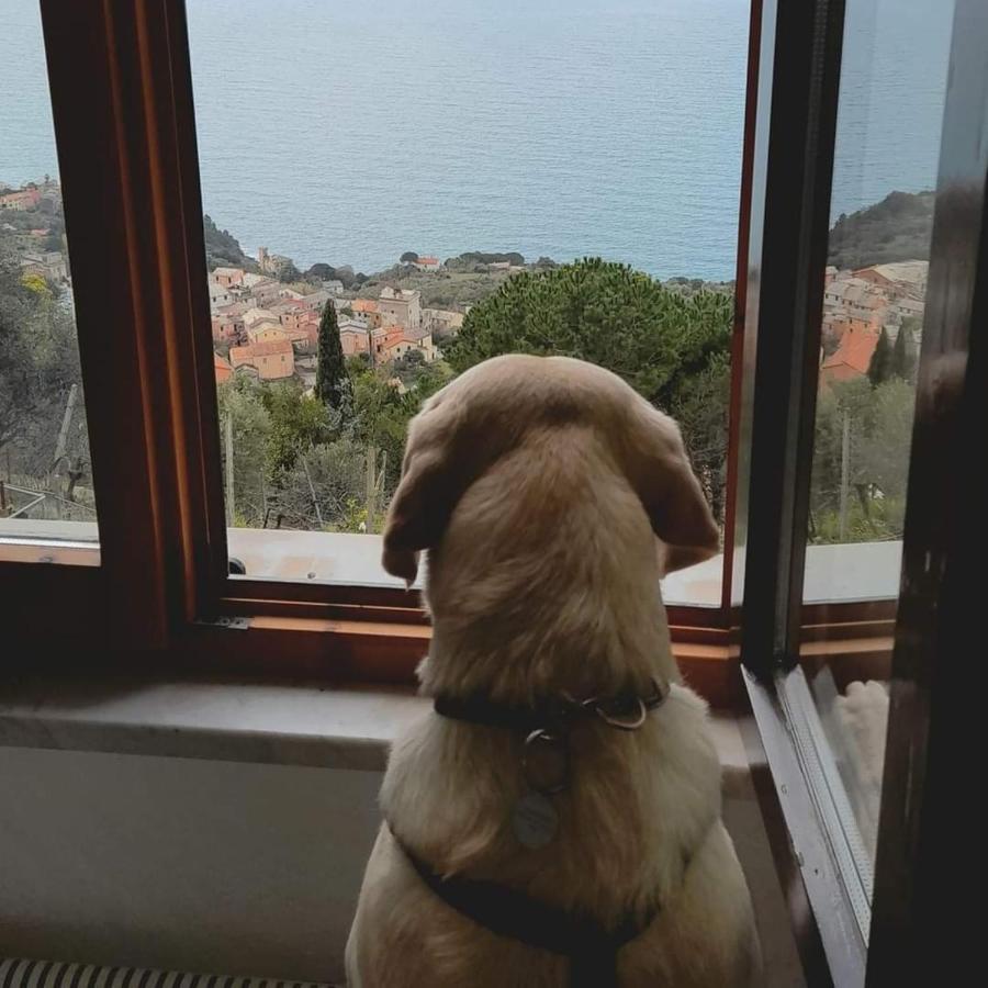 Ostello Ninin De Ma' Framura Exteriér fotografie